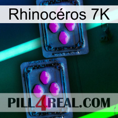 Rhinocéros 7K 03